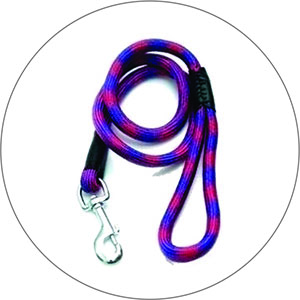 collars and leashes - dog