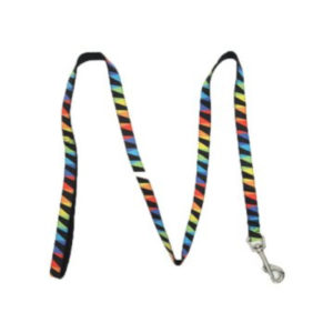 Trustie | Symmetrical Rainbow Dog Leash