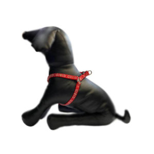 Trustie | Harness Sun & Wave Red 10mmx25-35cm