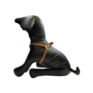 Trustie | Brown Floral Dandelion Floral Harness