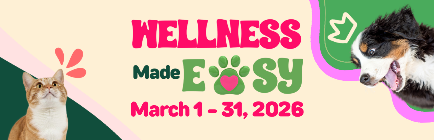 Thematic Home Banner