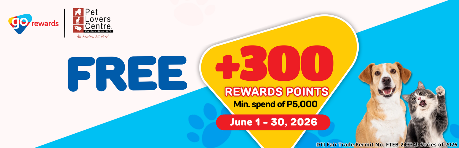 +300-june-2028