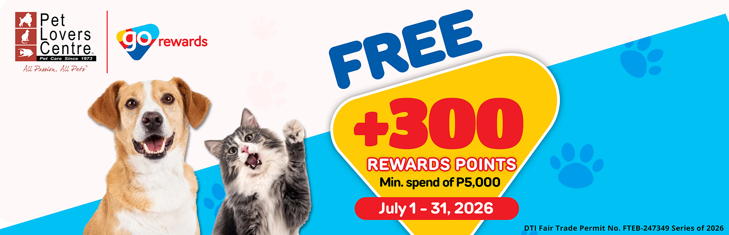 +300 Home Banner July2026